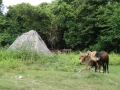 2013-10_CubaActive_A_ (79)